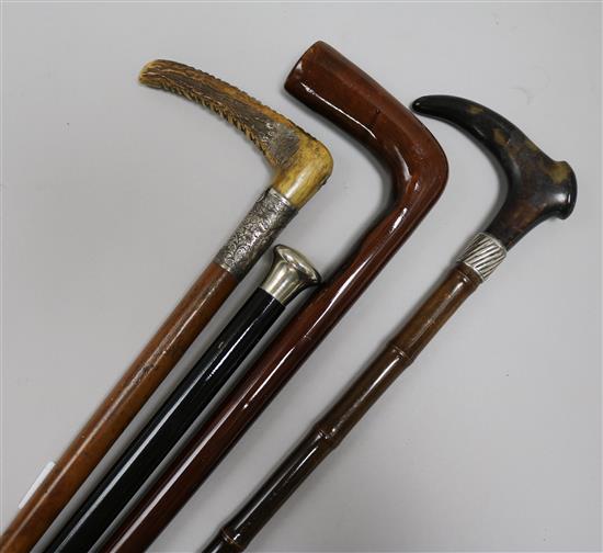 Three walking sticks and a riding crop